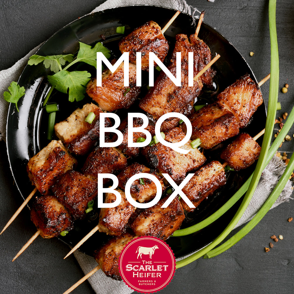 Mini BBQ Box